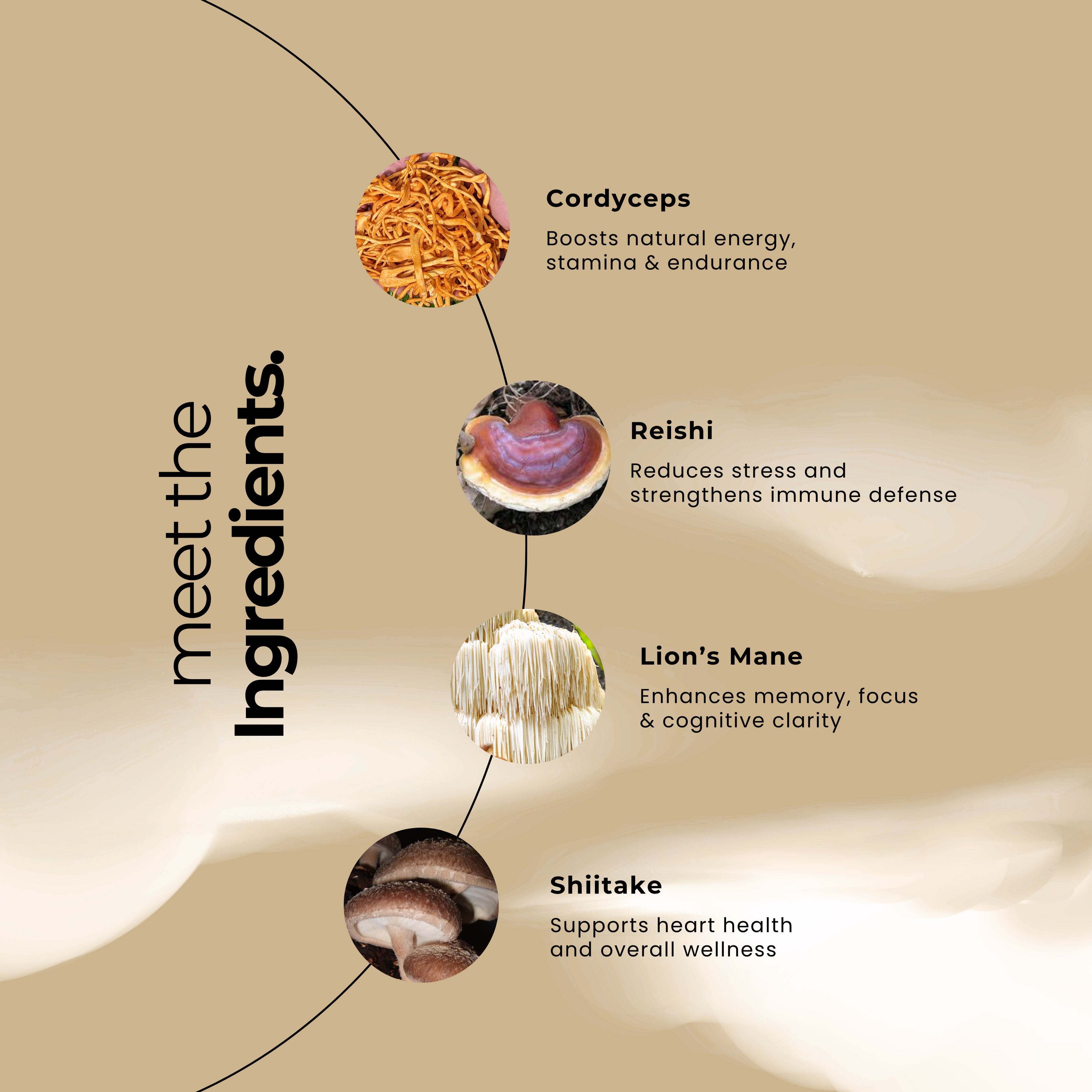 Mushroom Complex 10X Capsules